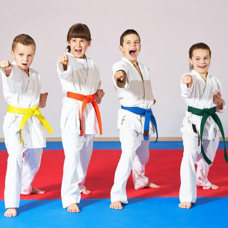 Load image into Gallery viewer, 2 Pcs 260cm Judo Karate Riem Martial Arts Sport Riemen Taekwondo Riemen Professioneel Karate Aikido Riem Dikke Stof White Belt Kinderen Volwassenen Kofun Martial Arts Riem - happygetfit.com
