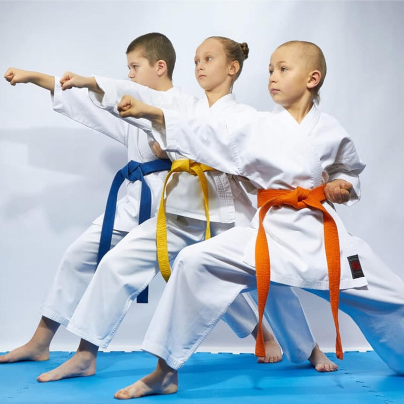 Load image into Gallery viewer, 2 Pcs 260cm Judo Karate Riem Martial Arts Sport Riemen Taekwondo Riemen Professioneel Karate Aikido Riem Dikke Stof White Belt Kinderen Volwassenen Kofun Martial Arts Riem - happygetfit.com
