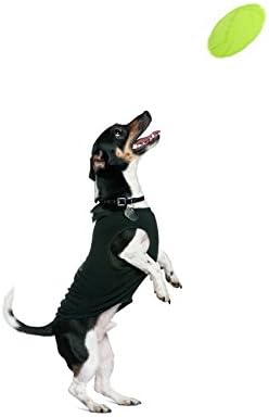 2x hondenfrisbee 17,8 cm – drijvende rubberen werpschijf voor apporteren en waterspel - happygetfit.com