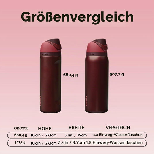 Owala FreeSip Isolierte Edelstahl-Trinkflasche, 710ml, Iced Breeze