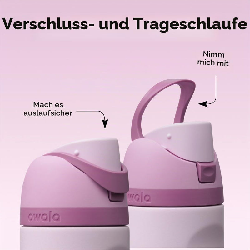 Load image into Gallery viewer, Owala FreeSip Isolierte Edelstahl-Trinkflasche, 710ml, Iced Breeze
