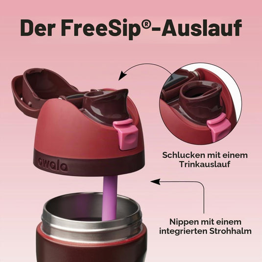 Owala FreeSip Isolierte Edelstahl-Trinkflasche, 710ml, Iced Breeze