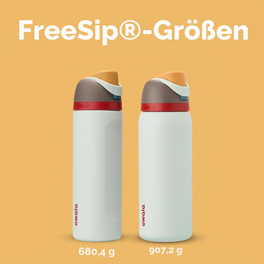Owala FreeSip Isolierte Edelstahl-Trinkflasche, 710ml, Iced Breeze