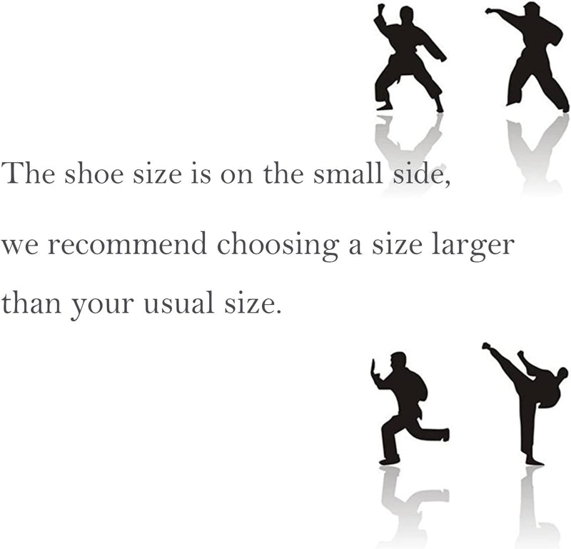 Laad afbeelding in Galerijviewer, APIKA Chinese Traditionele Oude Peking Schoenen Kung Fu Tai Chi Schoenen Rubberen Zool Unisex Zwart
