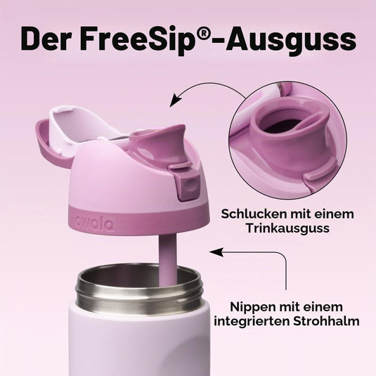 Owala FreeSip Isolierte Edelstahl-Trinkflasche, 710ml, Iced Breeze