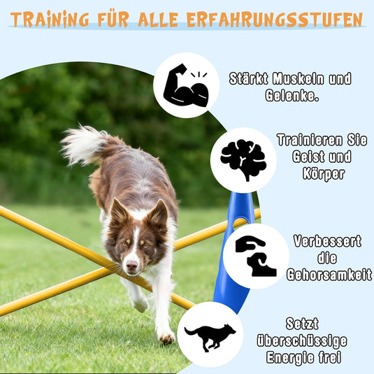 Agility hindernisset met 8 kegels en 8 verstelbare stangen – hondentraining – behendigheidsset