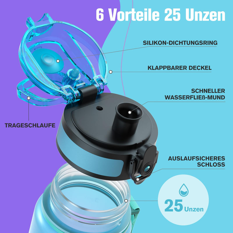Load image into Gallery viewer, Drinkfles 750 ml BPA-vrij met tijdmarkeringen en lekvrije dop – waterfles – sportfles
