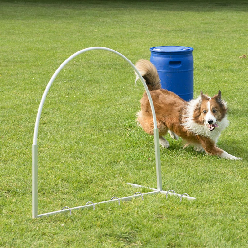 Chargez l'image dans la visionneuse de la galerie, Grondankers 10 stuks heavy duty van verzinkt staal – U-vormige trampoline haringen – tuinankers
