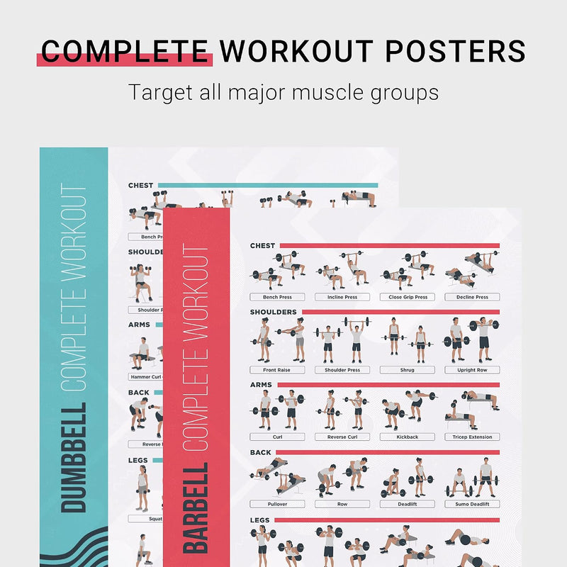 Load image into Gallery viewer, FitMate halter- en halterstang-trainingsposter, set van 2, trainingsroutine met vrije gewichten, decoratie voor sportruimte thuis, referentiegids (51 x 76 cm)
