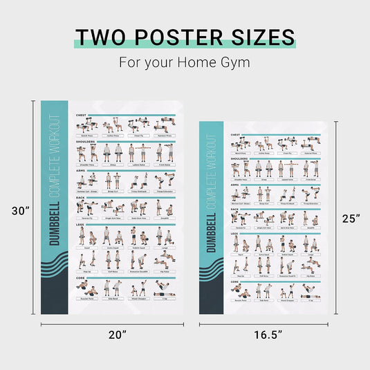 FitMate 8 Pack Workout Oefening Poster Bundel - Halter, Barbell, Lichaamsgewicht, Yoga, Stretching, Stabiliteit Bal, Weerstandsbanden, Kettlebell | Home Gym Decor, Kamer Guide (42 x 63 cm)