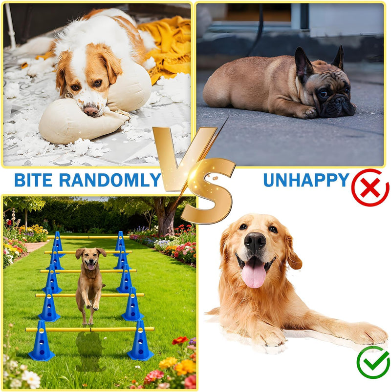 Chargez l'image dans la visionneuse de la galerie, Agility hindernisset met 10 kegels en 5 verstelbare stangen oranje – hondentraining – sporthorden
