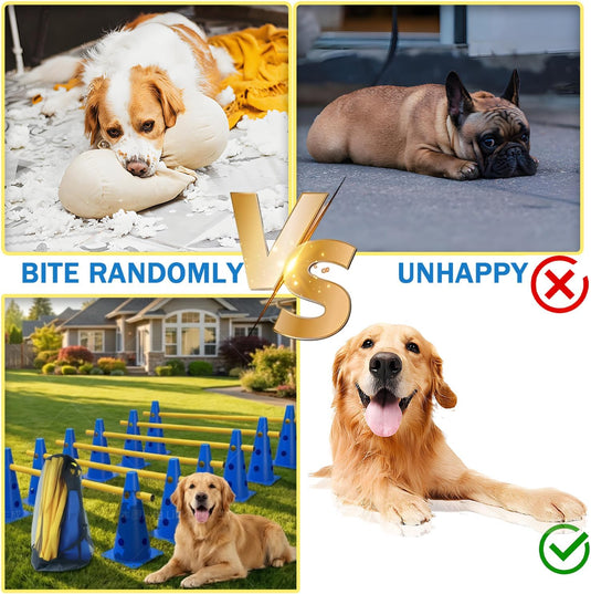 Agility hindernisset met 10 kegels en 5 verstelbare stangen oranje – hondentraining – sporthorden