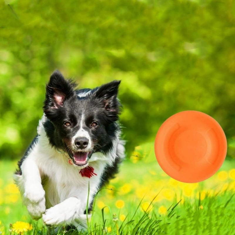 Load image into Gallery viewer, 8x mini frisbee 6,5 cm – flexibele siliconen werpschijven voor kinderen, volwassenen en huisdieren - happygetfit.com
