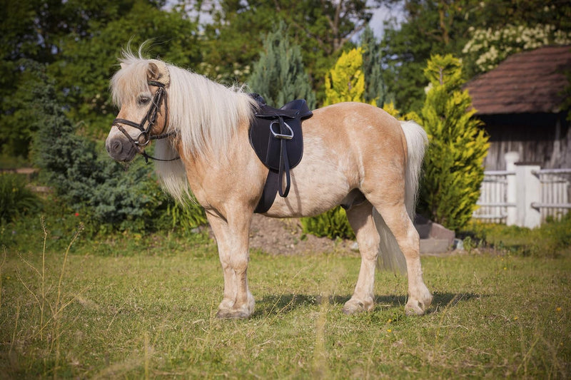 Load image into Gallery viewer, Covalliero Kerbl Zadelset Economy Pony, zwart, 325415
