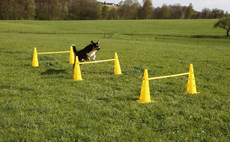 Load image into Gallery viewer, Agility horden set met 6 pylonen en 3 verstelbare stangen geel – hondentraining – behendigheidsset
