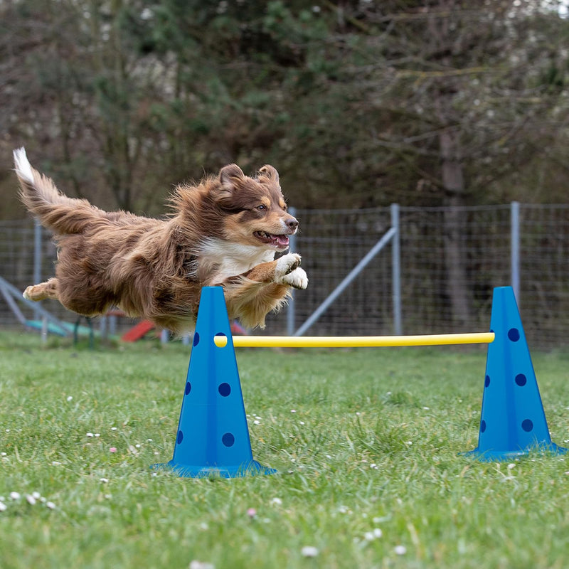 Chargez l'image dans la visionneuse de la galerie, Agility hindernisset 18-delig met 12 pionnen en 6 stokken – hondentraining – sporthorden
