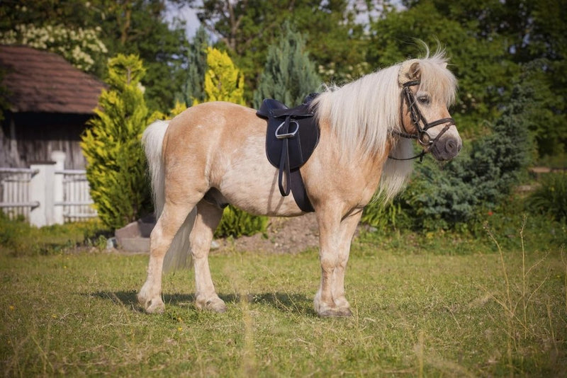 Load image into Gallery viewer, Covalliero Kerbl Zadelset Economy Pony, zwart, 325415 - happygetfit.com
