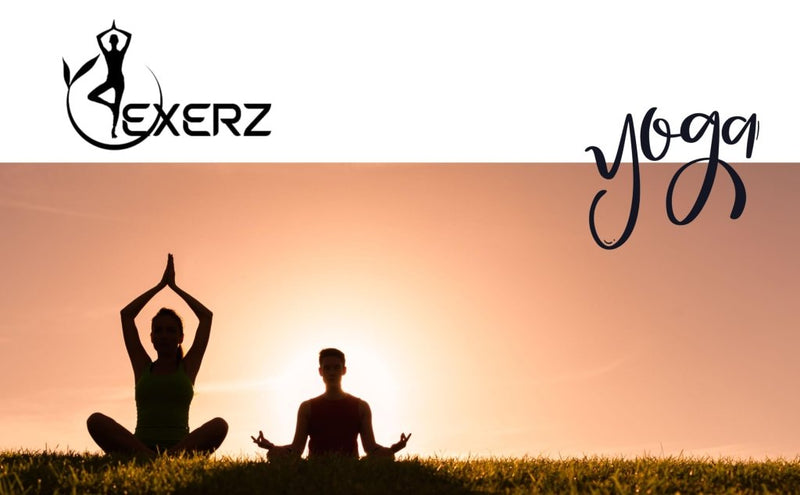 Laad afbeelding in Galerijviewer, EXERZ Yoga Blocks 2 pack, Gym Blocks, Exercise Workout Fitness Bricks, Pilates Stretch Handstand Non-Slip - happygetfit.com
