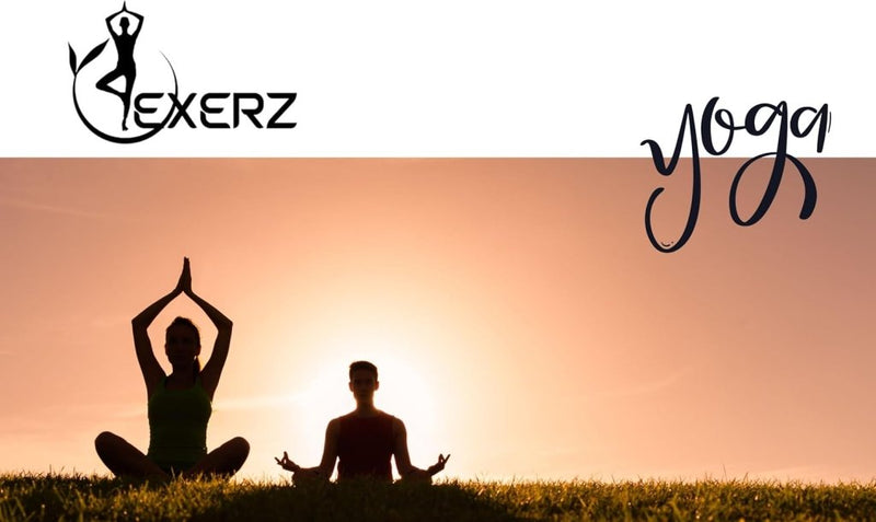 Laad afbeelding in Galerijviewer, EXERZ Yoga Blokken 2 stks Gym Bricks - happygetfit.com
