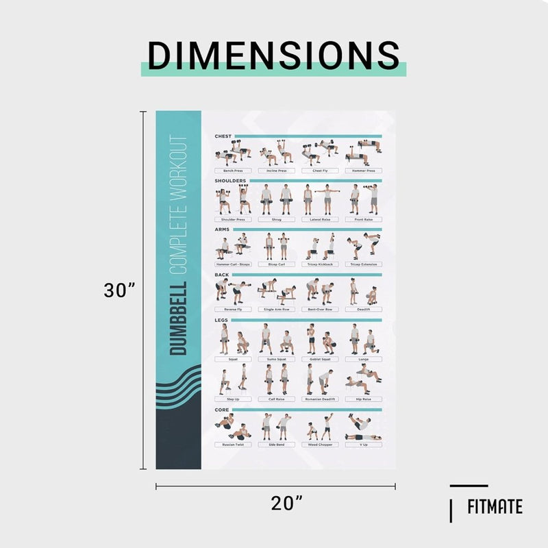 Laad afbeelding in Galerijviewer, FitMate Dumbbell and Barbell Workout Exercise Poster, 2-Pack, Workout Routine with Free Weights, Home Gym Decor, Room Guide (20 x 30 Inch) - happygetfit.com
