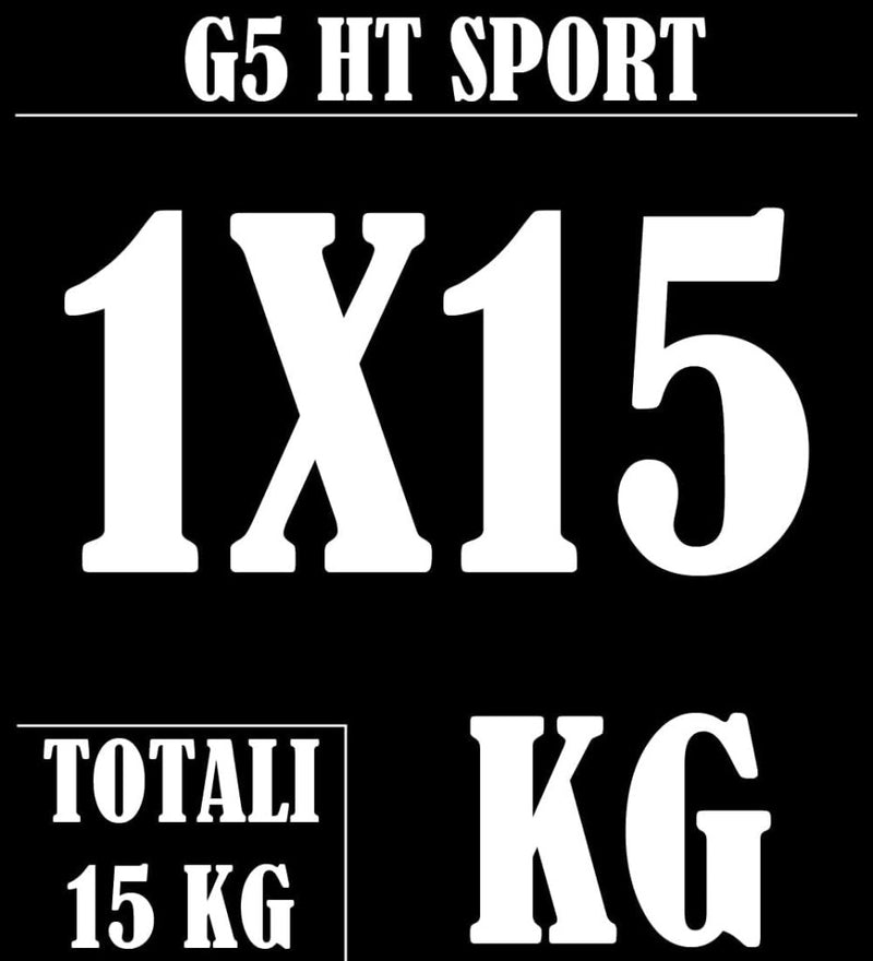 Load image into Gallery viewer, G5 HT SPORT Halterschijven van gietijzer, gatdiameter: 25 mm, voor sportschool en thuisgymnastiek, 0,5 tot 20 kg, voor halters en lange halters - happygetfit.com
