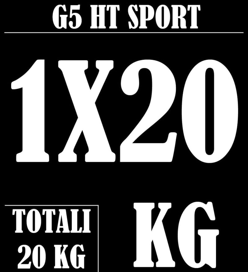 Load image into Gallery viewer, G5 HT SPORT Halterschijven van gietijzer, gatdiameter: 25 mm, voor sportschool en thuisgymnastiek, 0,5 tot 20 kg, voor halters en lange halters - happygetfit.com
