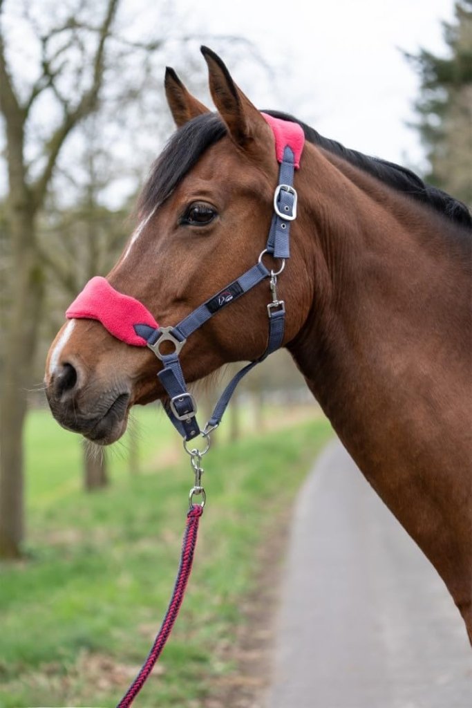 Laad afbeelding in Galerijviewer, HKM Holster met gebreide karabijnhaak &amp; vliegenfranjes, grijs/roze, pony - happygetfit.com
