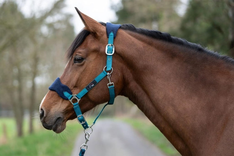 Laad afbeelding in Galerijviewer, HKM Holster met gebreide karabijnhaak &amp; vliegenfranjes, grijs/roze, pony - happygetfit.com
