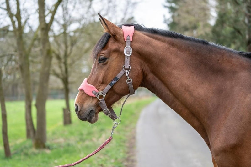 Laad afbeelding in Galerijviewer, HKM Holster met gebreide karabijnhaak &amp; vliegenfranjes, grijs/roze, pony - happygetfit.com
