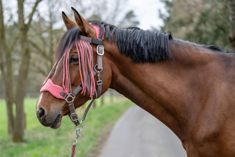 Laad afbeelding in Galerijviewer, HKM Holster met gebreide karabijnhaak &amp; vliegenfranjes, grijs/roze, pony - happygetfit.com
