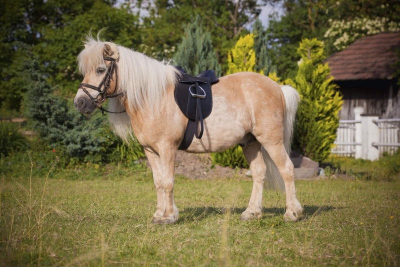 Load image into Gallery viewer, Kerbl Economy Pony 325415 Saddle Set, Black - happygetfit.com
