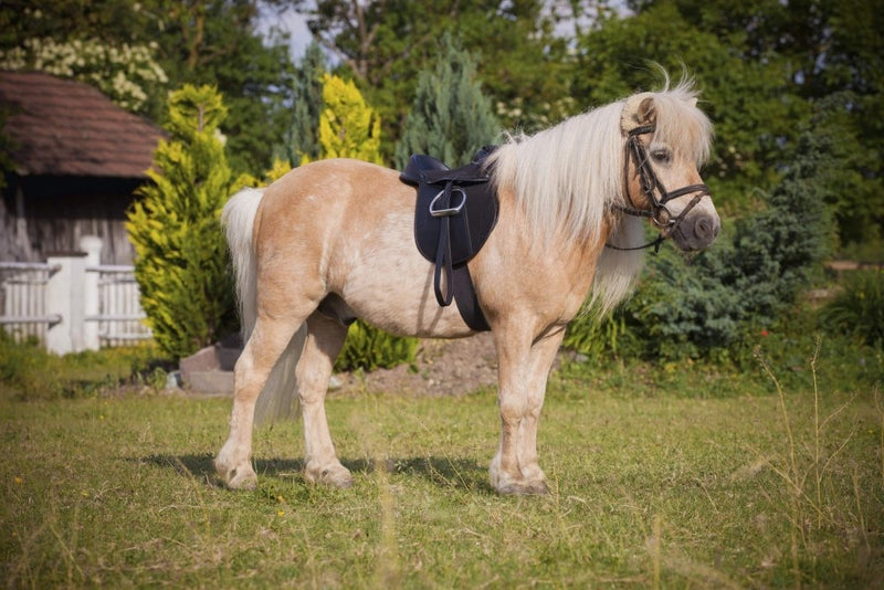 Load image into Gallery viewer, Kerbl Economy Pony 325415 Saddle Set, Black - happygetfit.com

