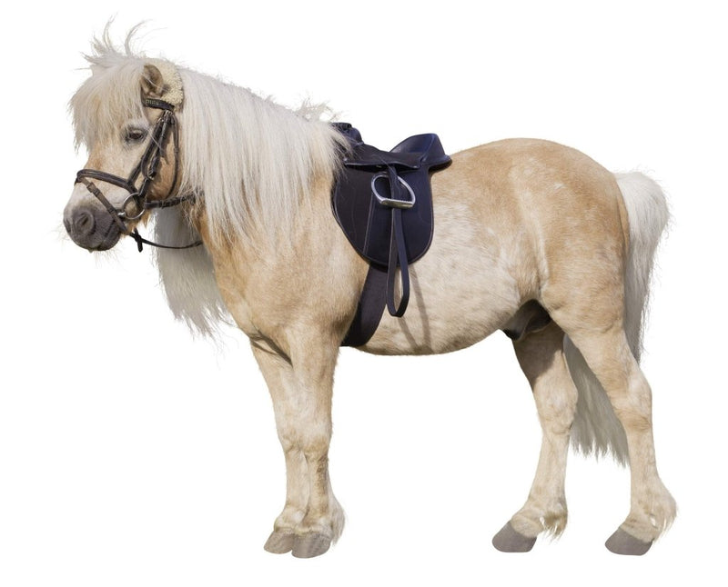 Load image into Gallery viewer, Kerbl Economy Pony 325415 Saddle Set, Black - happygetfit.com
