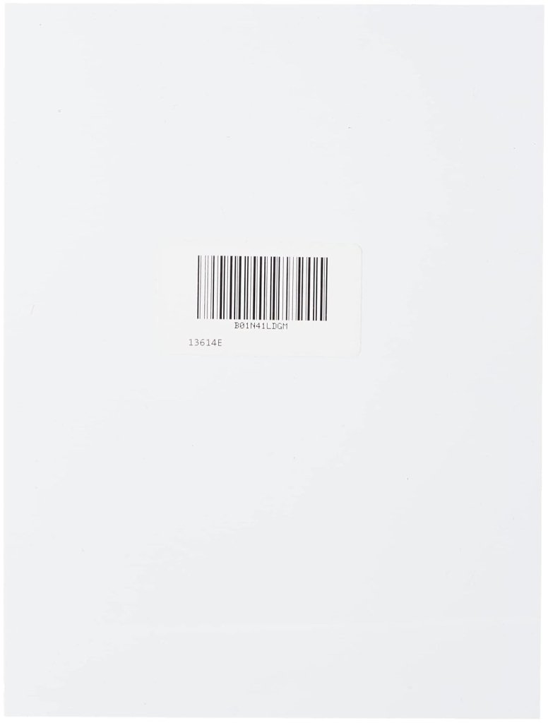 Load image into Gallery viewer, Een duurzame kaart gemaakt van duurzaam kunststofmateriaal toont een strakke zwarte barcode met nummer 13614E, die moderne efficiëntie en stijl belichaamt in het &#39;🚫 Veiligheid eerst – Duidelijk geen duikbord!&#39;.
