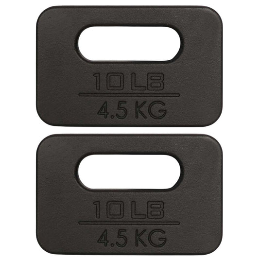 Yes4All Cast Iron Rucking Weight for Backpack, Training Weight Plate with Ergonomic Rounded Handle, Protective Glossy Finish for Weighted Walking, Hiking, Rucking, Resistance Workout - happygetfit.com