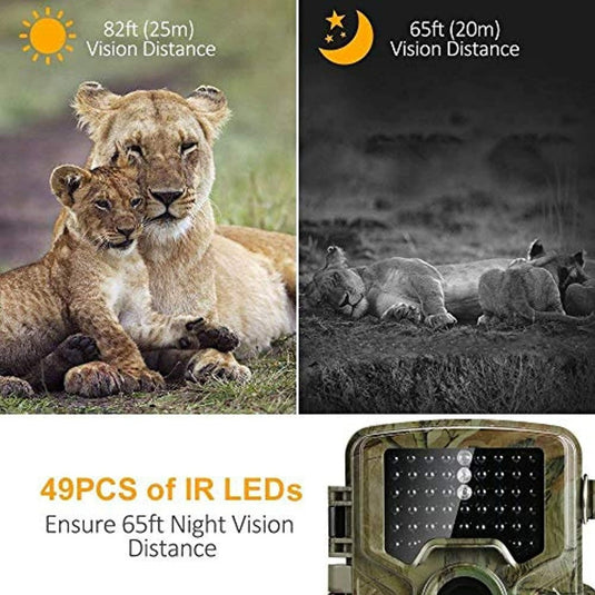 Afbeelding van leeuwin en welp met dag-/nachtzicht van de Krachtige wildcamera, met dagzicht op 82ft (25m) en nachtzicht op 65ft (20m) met behulp van infraroodtechnologie. Uitgerust met 49 IR-LED's voor heldere nachtopnames.